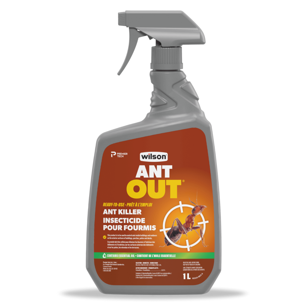 Insecticide pour fourmis ANT OUT® de WILSON®